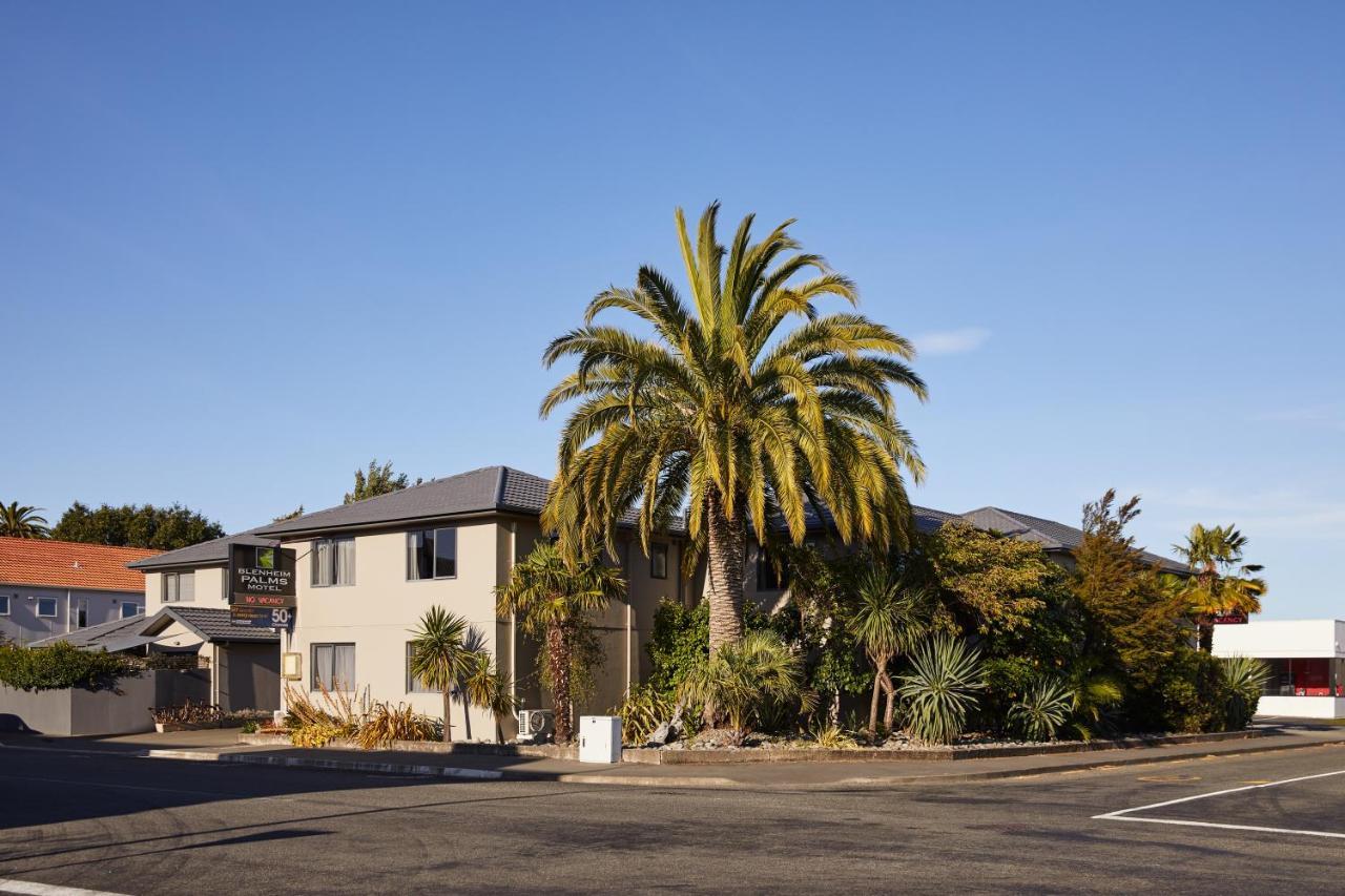 Blenheim Palms Motel Extérieur photo