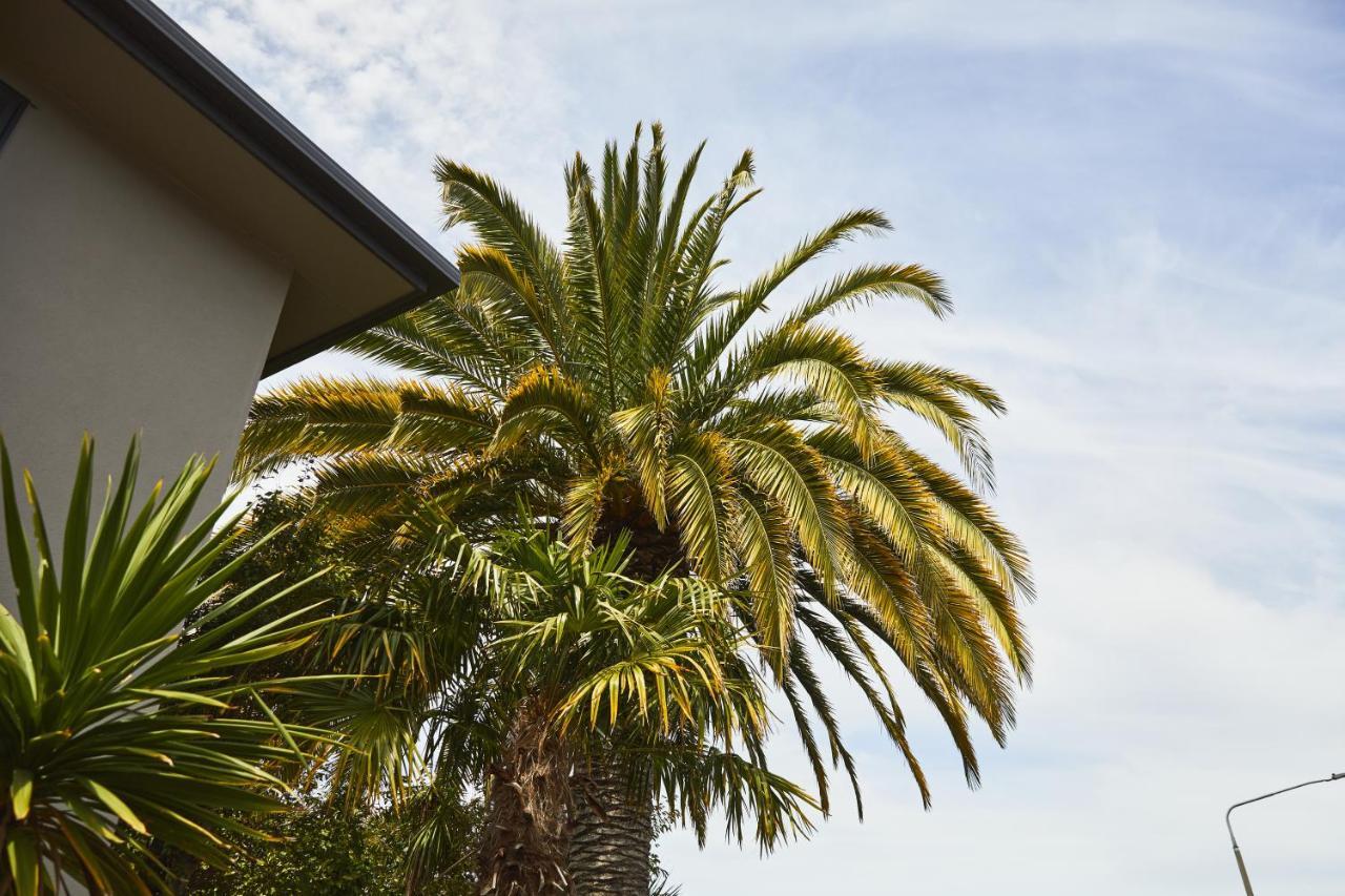 Blenheim Palms Motel Extérieur photo